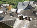 Ferienwohnung -  Ausblick - 
Weingut -  Mosel-Eindrücke