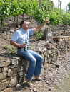 Ferienwohnung -  Ausblick - 
Weingut -  Mosel-Eindrücke