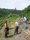 Ferienwohnung -  Ausblick - 
Weingut -  Mosel-Eindrücke